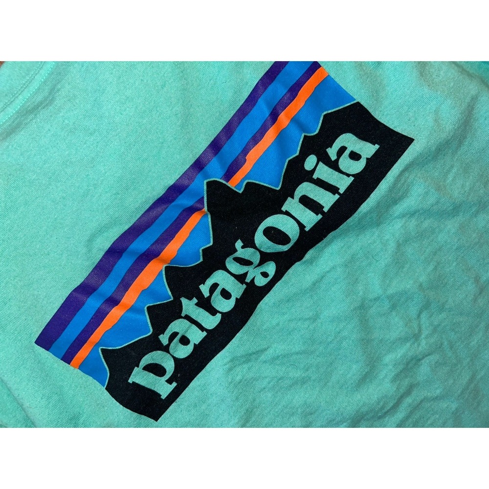 Patagonia Responsibili-Tee Blue Green Medium Regular Fit Long-sleeve T-Shirt